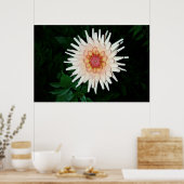 夜の花カッコいい咲き ポスター (キッチン)