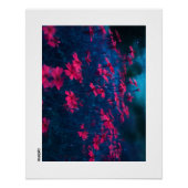 夜の花 ポスター (正面)