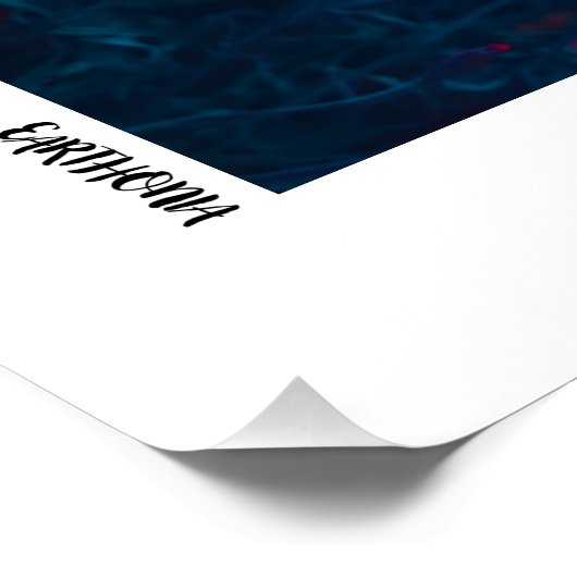 夜の花 ポスター (コーナー)