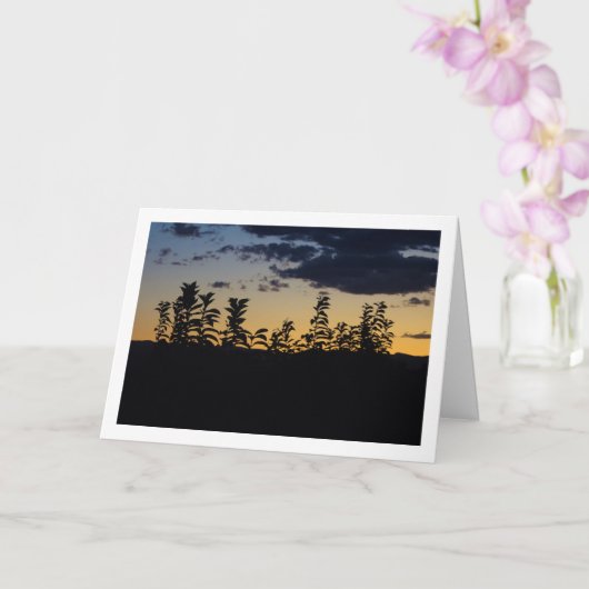 夜の葉シルエット カード (蘭)