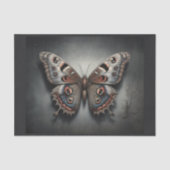 夜の蛾の蝶、あなたの考えのように –  薄葉紙 (正面)