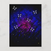 夜の蝶 ポストカード (正面)