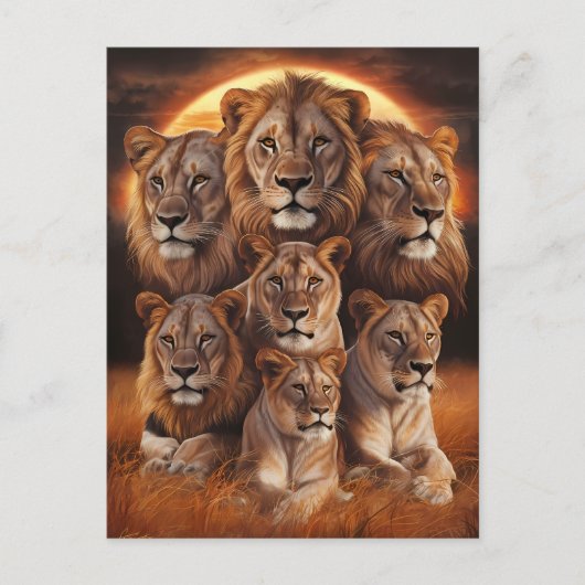 夜の轟音：月の光の中のライオン ポストカード (正面)