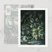 夜の雪 ポストカード (正面/裏面)