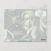 夜の雪 ポストカード (裏面)