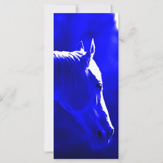 夜の馬 – 月明かりの中の馬 (正面)