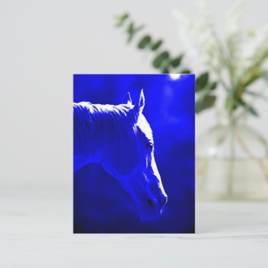 夜の馬 – 月明かりの中の馬 ポストカード (スタンド正面)