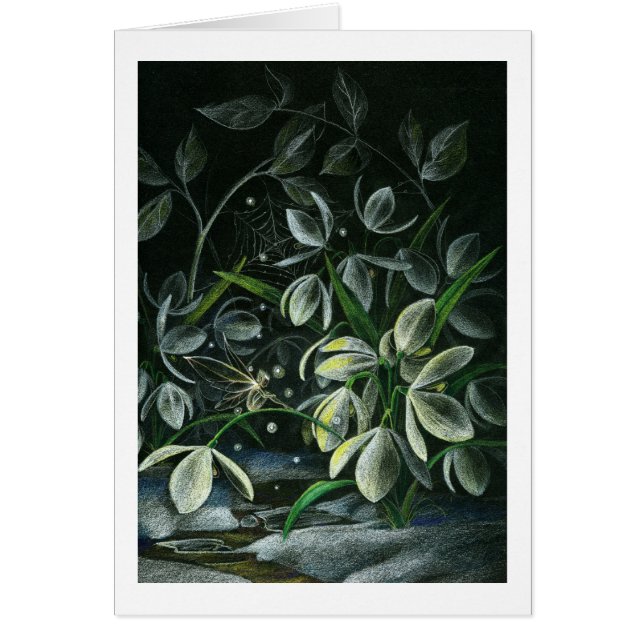 夜のSnowdrops (正面)