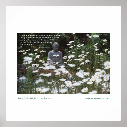 夜は長い ポスター (正面)