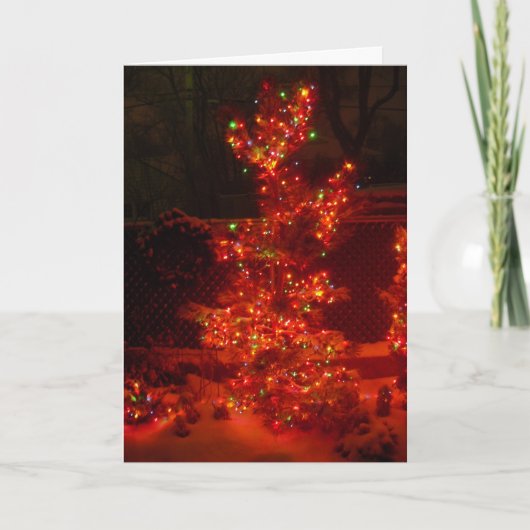 夜を照らす シーズンカード (正面)