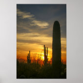 夜を避ける ポスター (正面)