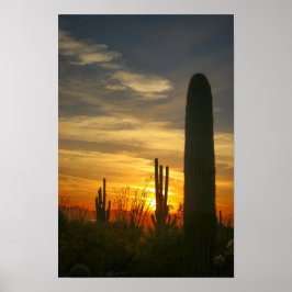 夜を避ける ポスター