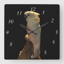 夜カスタムにポーズを取るコカトゥー鳥