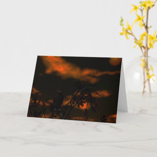 夜ストーカー カード (黄色い花)