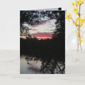 夜ライト カード (黄色い花)