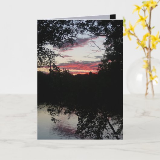 夜ライト カード (黄色い花)