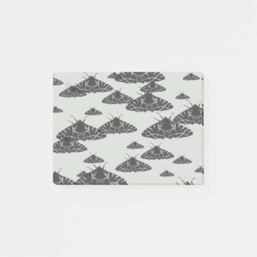 夜中に潜むヤエイ蛾 ポストイット (正面)