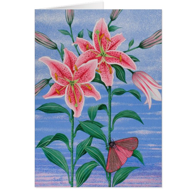 夜勤2011年 (正面)