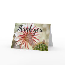 夜咲きサボテンの花感謝していあなた