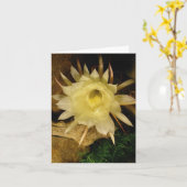 夜咲く小脳 カード (黄色い花)
