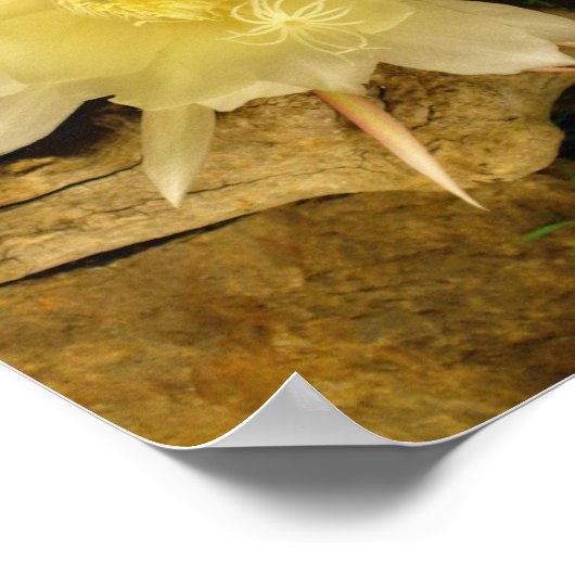 夜咲く小脳 ポスター (角)