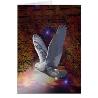 夜型の人の飛行