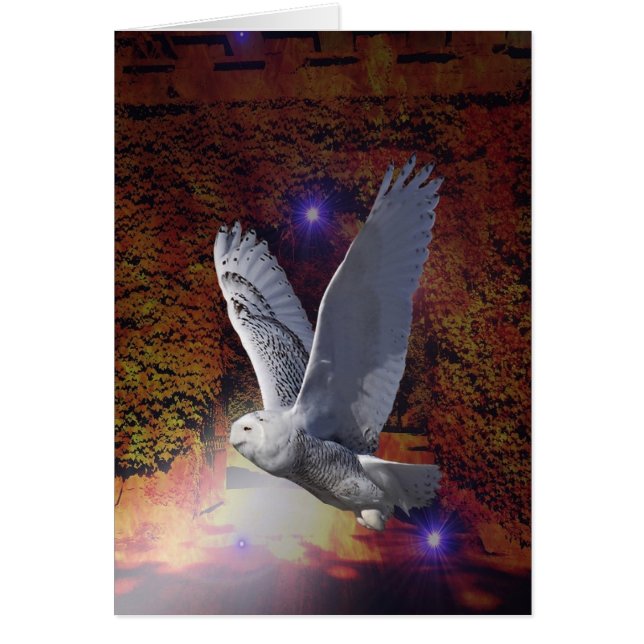 夜型の人の飛行 (正面)