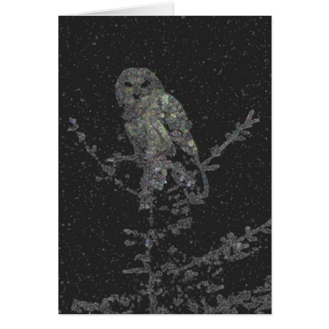 夜型の人 (正面)