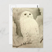 夜型フクロウ ポストカード (正面/裏面)