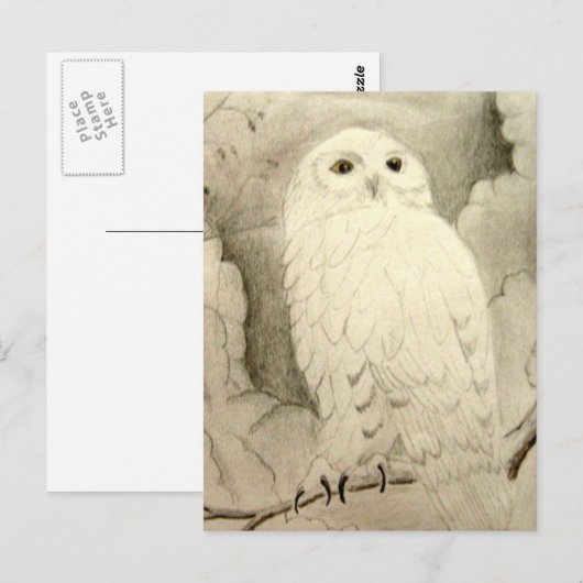 夜型フクロウ ポストカード (正面/裏面)