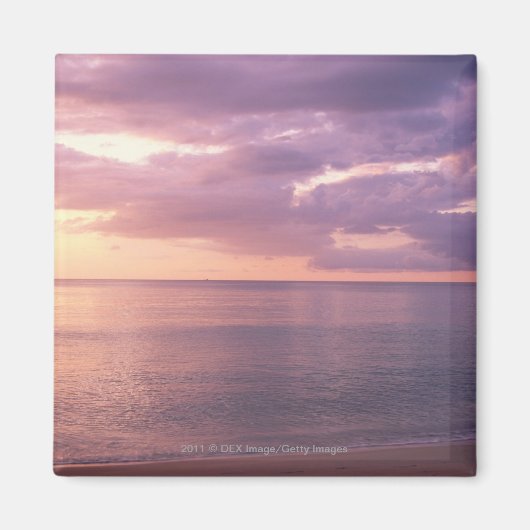 夜明けがビーチ マグネット (正面)