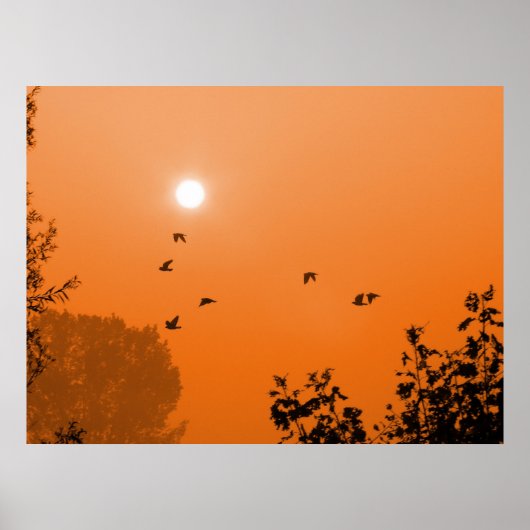 夜明けに飛ぶプリント ポスター (正面)