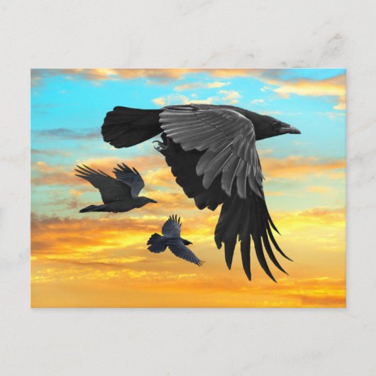 「夜明けのパトロール」 ポストカード (正面)