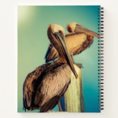 夜明けのペリカン ノートブック (裏面)