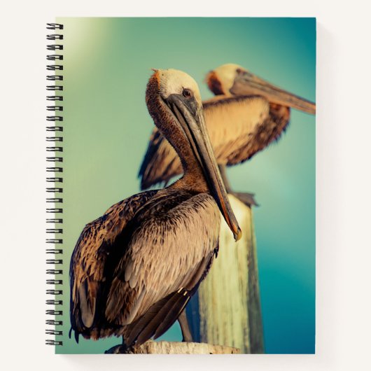 夜明けのペリカン ノートブック (正面)