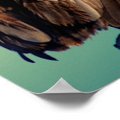 夜明けのペリカン ポスター (角)