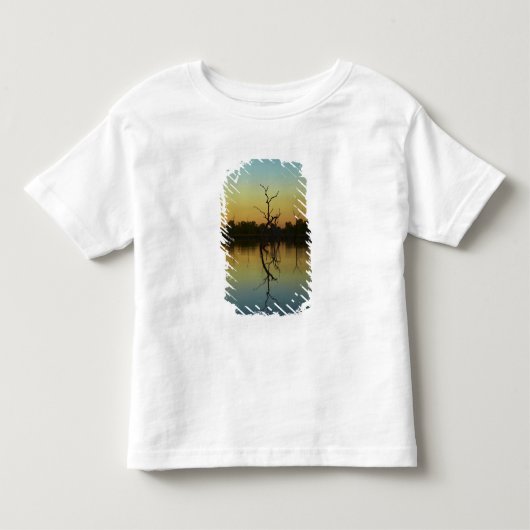 夜明けのリリークリークラグーンに映る枯れ木 トドラーTシャツ (正面)