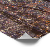 夜明けの冬の森の色ポスター ポスター (角)