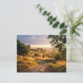 夜明けの日光|の英国の田舎 ポストカード (スタンド正面)