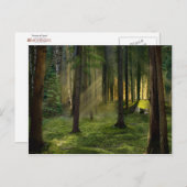 夜明けの森 ポストカード (正面/裏面)