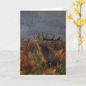 夜明けの美しい赤い鹿のグリーティングカード カード (黄色い花)