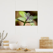 「夜明けの踊り」フロックス・ワイルドフラワーのポスター ポスター (キッチン)