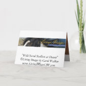 夜明けの野生の馬カードの野生のスイバの種馬 カード (裏面)