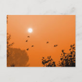 夜明けポストカードで飛行 ポストカード (正面)