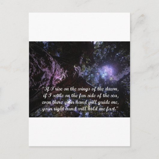 夜明け上昇 ポストカード (正面)