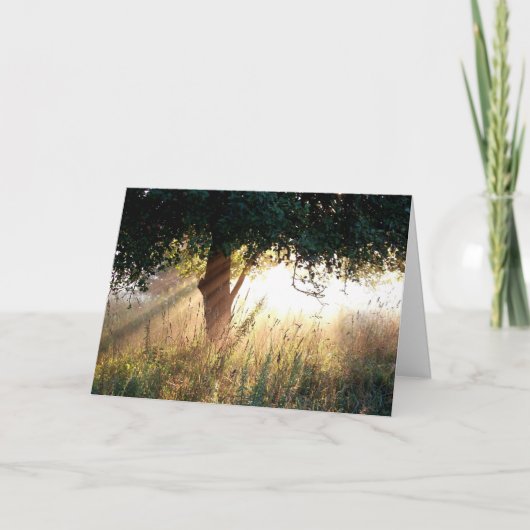 夜明け最深同情カード カード (正面)