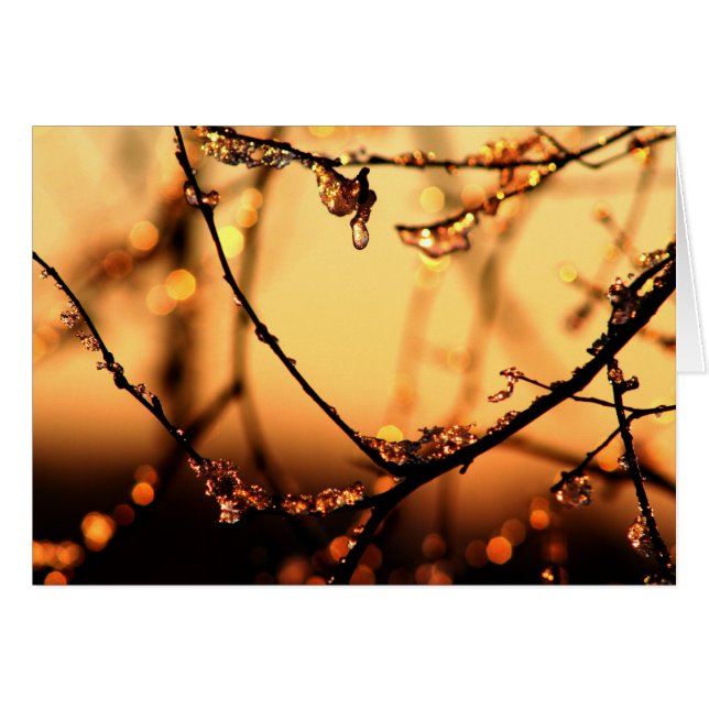 夜明け (正面横)