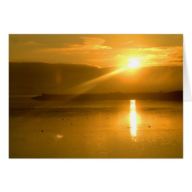 夜明け | (正面横)