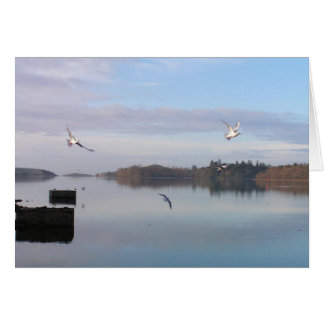 夜明け、ドニゴール湾