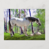 「夜明け」 ポストカード (正面)